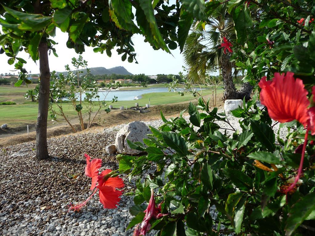 Blue Bay Beach Villa At Pool And Golfcourse Exteriör bild